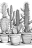 Placeholder: a drawing of a cactus in a pot, coloring pages, hand drawn svg, full body 8k, kid drawing, big scale, draft, template layout, with detailed facial features, steps 50, swiping brushwork, houseplants, miniaturecore, first draft, hoses:10, neat baerd, bbloom, black and white coloring