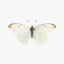 Placeholder: one white butterfly, top view, white plain transparent background