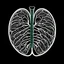 Placeholder: Lungs, Logo, 4k, high resolution