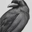 Placeholder: crow, style Isabel Kreitz, pencil drawing, perfect iris