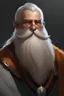 Placeholder: dwarven monk white beard