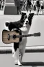 Placeholder: One single mature border collie, playing guitar in the street , Vienna, friendly, sunny day, model style, hyper realistic, extremely accurate, delicate, extremely detailed, Graphic novel style, wide-angle, open aperture, superfine pencil