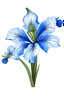 Placeholder: blue Amaryllis vector illustration white background