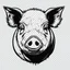 Placeholder: vector illustration of a pig