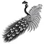 Placeholder: white, A peacock in flight, vector, white background, outline, with images neatly contained within the background, just black and white color, full body, no color. Front view.