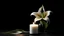 Placeholder: Beautiful lily and burning candle on dark background with space for text. Funeral white flowers.