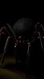 Placeholder: Black widow spider in the dark