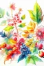 Placeholder: watercolor, photorealism, realistic flowers, leaves and berries, sunny, gloss, white background, pixel art, high detail, delicate sensuality, realistic, high quality, artwork, glitter, hyperdetalization, professional, filigree, transparent, delicate pastel tones, backlight, high detail, gradient texture