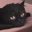 Placeholder: Gato negro durmiendo en una cama