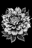 Placeholder: Ambrosia flower BLACK WITHE DRAWING