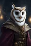 Placeholder: Owlin wizard
