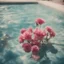 Placeholder: Carnations in a swimming pool, damaged polaroid, sunny day