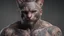 Placeholder: cat man, fine rendering, high detail, 8K, man, tattoos, wool,