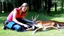 Placeholder: lady giving CPR on deer