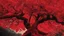 Placeholder: red tree, highly detailed, boutyfull desktop wallpaper, comic style