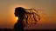 Placeholder: Silhouette of the head of a young lady with long flowing hair in a slight breeze. At sunset in Czech nature.