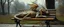 Placeholder: master oil painting by Rembrandt, transparent dragon sleeping on a bench in the park