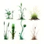 Placeholder: "Isolated concept art of multiple types of alien plant on a plain neutral background. Designed for different biomes: Forest biome – lush, dense, tall grass with strange broad blades, glowing tips, and twisted leaves. Swamp biome – slimy, wet, moss-like grass with tangled roots, bioluminescent details, and spongy textures. Desert biome – dry, spiky, brittle grass with sharp edges, thorn-like blades, and pale dusty colors. Each grass type should have a unique silhouette and texture.