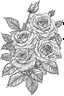 Placeholder: Outline art for coloring page, ROSES, coloring page, white background, Sketch style, only use outline, clean line art, white background, no shadows, no shading, no color, clear