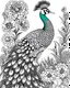 Placeholder: A regal peacock displaying its vibrant plumage in a lush garden filled with exotic flowers. for colouring pages with black and white outline line art ,no blur,no grayscale,only white backdrop,only black and white colour of this picture,no other colour,no black backdrop with realistic look