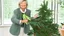 Placeholder: martha stewart as a tree