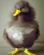 Placeholder: evil duck monster