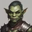 Placeholder: dnd, portrait of cute orc femboy