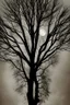 Placeholder: Night, tree leaves, moon, clouds, creepy gothic movies influence, photography