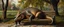 Placeholder: master oil painting by Rembrandt, fat dragon sleeping on a bench in the park