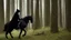 Placeholder: Dark robed wizard on a horse in the forest