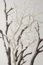 Placeholder: white branch art