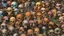 Placeholder: a picture of a dark, comedic, anatomically correct wall of colorful tightly packed skulls of varying sizes and expressions, photo realistic, insanely meticulous, highly detailed, part of a collection of bones on display, 64k, dystopian, vray