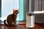 Placeholder: Cute tabby kitten sniffing ice water spilling from a thermos in a kitchen in the sunshine. Ice cubes and snowflakes.