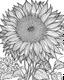 Placeholder: real massive Sunflower flower coloring page