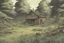 Placeholder: clearing, yard, forest,overgrown, post-apocalyptic, comic book,