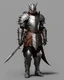 Placeholder: An armor made of a mixture of steel and leather, worn by a strong commander with magical power An armor made of a mixture of steel and leather, worn by a strong commander with magical power An armor made of a mixture of steel and leather, worn by a strong commander with magical powerride dragon