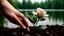 Placeholder: a young woman's hand plants a small white rose stem in the ground, in the background a lake, some green trees, ultra detailed, sharp focus, perfect hands, perfect photo