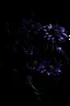 Placeholder: purple flowers, dark, darkness, sexy, beautiful