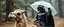 Placeholder: dart vader riding lama with umbrella taking a selfie