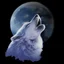 Placeholder: Wolf howling at the moon