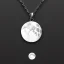 Placeholder: necklace with a simple, elegant design featuring a single, shimmering polyester in moon pendant