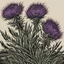 Placeholder: Three thistles in Scottish highland painted by fine linocut