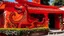 Placeholder: An orangish red pepper palace with a fiery dragon painted by Keith Haring