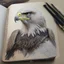 Placeholder: drawing in a sketch book of a realistic eagle.