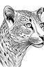 Placeholder: cute cheeta coloring pages, black and white, minimal, clear line art