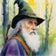 Placeholder: aquarelle by Moebius: The actor Jonathan Pryce playing the wizard Radagast