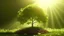 Placeholder: Small tree growing with sunshine in garden. eco concept, Generative AI