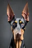 Placeholder: Portrait of Dogo Doberman with cropped ears