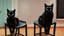 Placeholder: A black cat sitting on a chair in a room.