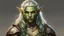 Placeholder: Elf-Orc, Elf Anteil Sonnenelf, Helles Haar, Braun bis grüne haut, DnD Character, Fighter, Female, Young